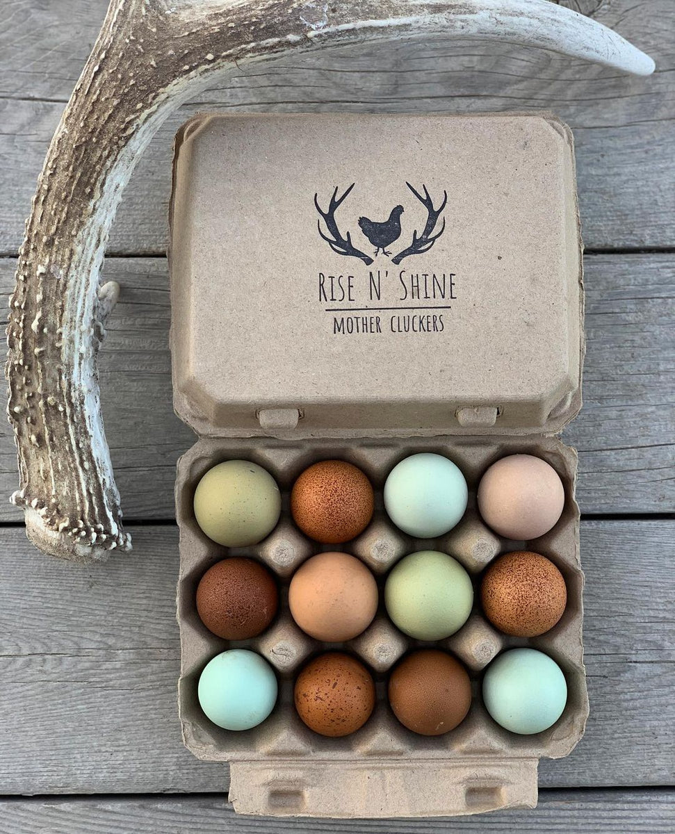 Pretty Egg Packaging: Vintage Style Egg Cartons - Home in the