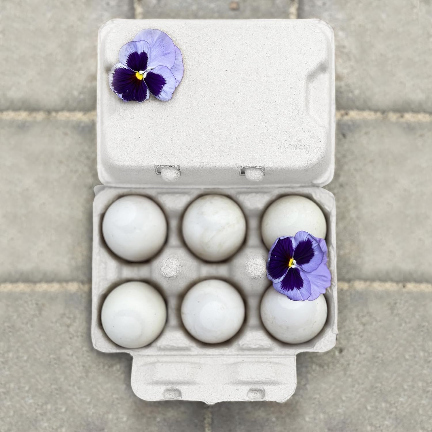 Duck Egg Cartons- Holds Half Dozen Jumbo Eggs- Blank Top- 100/Pack