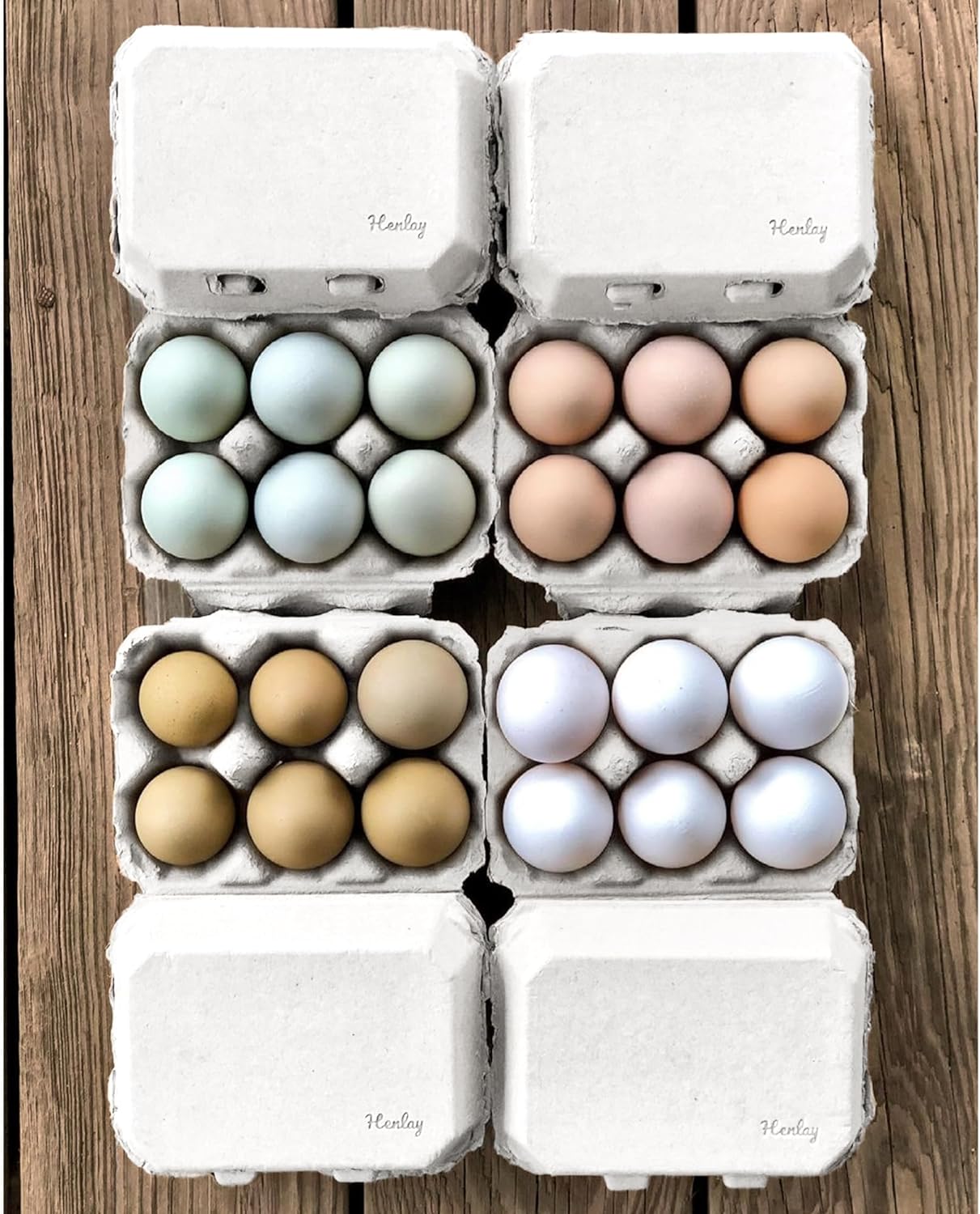 Half Dozen Egg Cartons (Pack of 10) - Blank Top - Carton Holds 6 Eggs (3x3  label size)