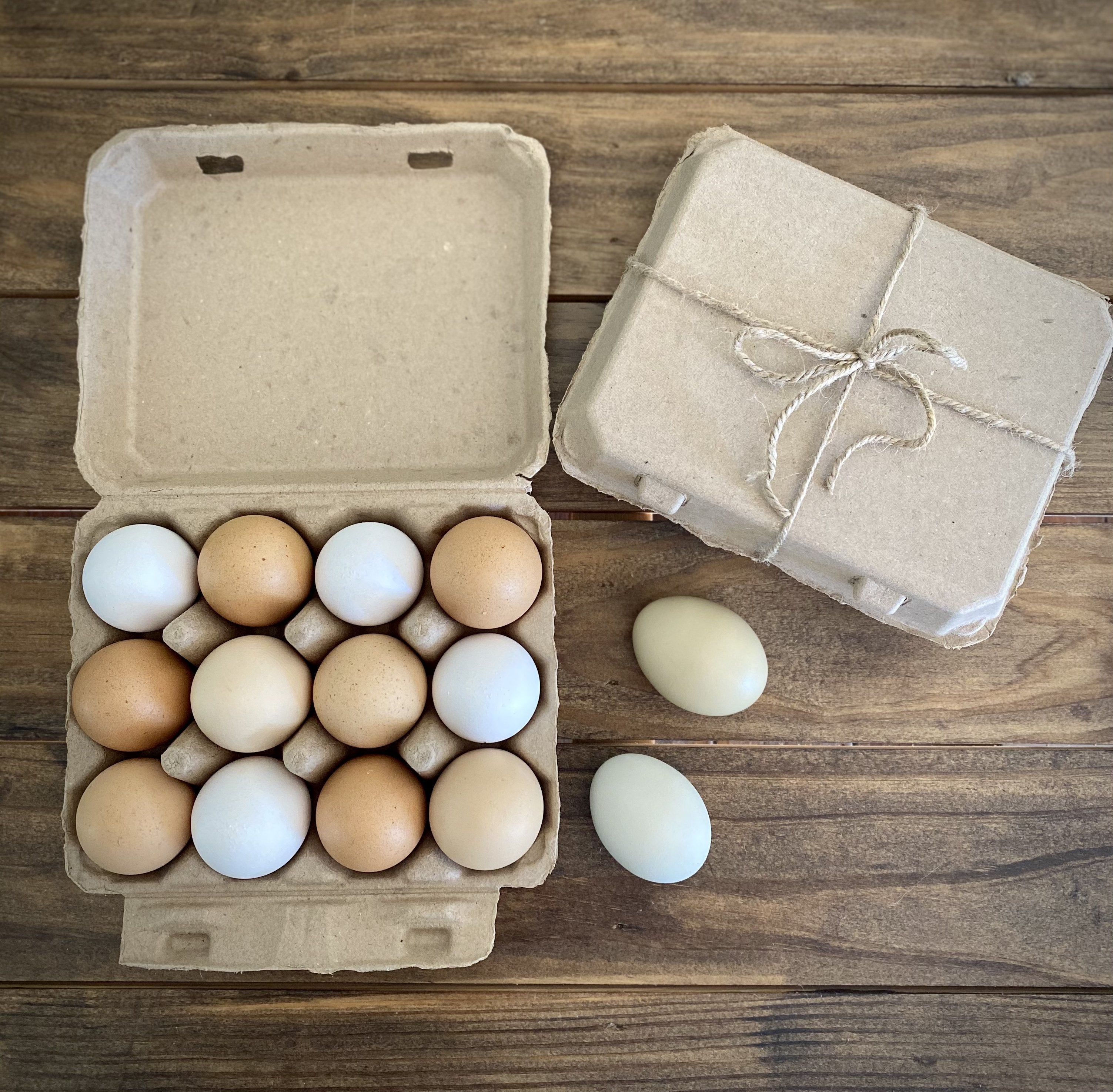 Vintage Blank Egg Cartons - 3x4 Style Made from Recycled Cardboard